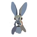 Grey furry cute rabbit looks straight. Isolated on a white background. Easter bunny. Royalty Free Stock Photo