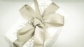 Grey gift box with grey bow for a fun holiday