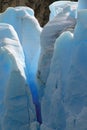 Grey Glacier