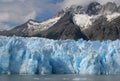 Grey Glacier