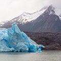 Grey Glacier, Torres del Paine, Patagonia, Chile Royalty Free Stock Photo