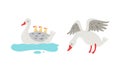 Grey Goose Character Swimming with Goslings and Spreading Wings Vector Set