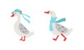 Grey Goose Character Wearing Hat and Scarf Walking Vector Set