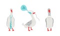 Grey Goose Character Wearing Tie and Holding Balloon Vector Set