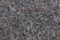 Grey granite texture