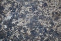 Grey granite wall background texture close up Royalty Free Stock Photo