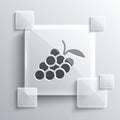 Grey Grape fruit icon isolated on grey background. Square glass panels. Vector Royalty Free Stock Photo