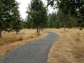 Grey gravel trail and brown grasses and trees Royalty Free Stock Photo