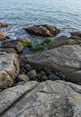 Grey and Green Rocks at the Ocean Coast Royalty Free Stock Photo