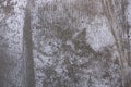 Grey grunge crease paper