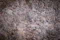 Grey grunge textured. grey concrete wall.Texture of old rustic wall covered with gray stucco.background idea Royalty Free Stock Photo