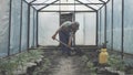 Grey-haired Caucasian man digging ground with shovel in greenhouse. Side view of senior farmer working in kaleyard on
