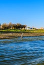 Grey heron Ardea cinerea on a bank of the Nile river Royalty Free Stock Photo