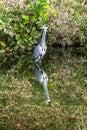 Grey Heron Tomb Water Reflection Habikino Osaka Japan