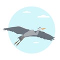 Grey Heron bird flying in sky. Royalty Free Stock Photo