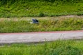 Grey heron flying over road Royalty Free Stock Photo