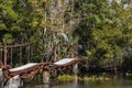 Grey heron perched on rails on a disused oil transfer jetty in Barataria Bayou Royalty Free Stock Photo