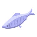Grey herring fish icon isometric vector. Sea water
