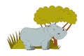 Grey Hippo as African Animal Standing Near Green Bush Vector Illustration