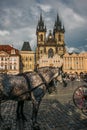 Grey horse with carriage for tourists in the Staromestske Namesti square of Prague