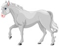 Grey Horse