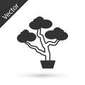 Grey Japanese bonsai tree icon isolated on white background. Japanese culture, horticulture, olericulture hobby concept