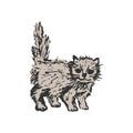 Grey kitten isolated on white background. Little funny pet. Hand drawn sketch. Vector illustration