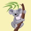 Grey koala bear isolated on wood branch with green leaves