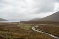 Grey landscape full of brown nature due to autumn in the highlands of Scotland