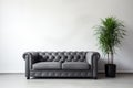 Grey leather couch before a white wall