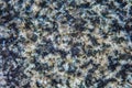 Grey Light Blue Marble Granite Stone slab surface Royalty Free Stock Photo