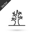 Grey line Bare tree icon isolated on white background. Vector