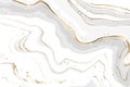 Grey liquid marbled watercolor background with golden lines. Pastel luxury monochrome fluid epoxy rubber drawing effect