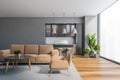 Grey living room and kitchen with sofa Royalty Free Stock Photo