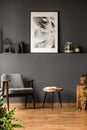 Grey living room with poster Royalty Free Stock Photo
