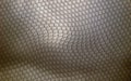 Grey Lizard Skin