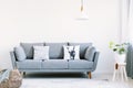 Grey lounge with two pillows in the real photo of white living room interior with fresh plant and empty wall with place for your p Royalty Free Stock Photo
