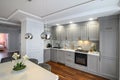 Grey luxury studio kitchen designed in modern style Royalty Free Stock Photo