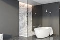 Grey and marble bathroom corner, shower and tub Royalty Free Stock Photo