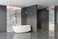 Grey and marble bathroom corner, tub and shower Royalty Free Stock Photo