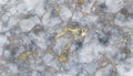 Grey Marble with Gold luxurious texture background, floor decorative stone