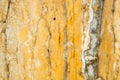 Yellow marble texture. Marble natural pattern or abstract background.