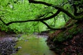 Grey Mares Tail Waterfall and river Royalty Free Stock Photo