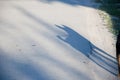 Grey mongrel dog shadow falling on asphalt road outdoors Royalty Free Stock Photo