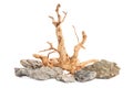 Grey mountain stone with red moor driftwood for aquarium aquascaping design