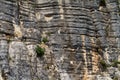 Grey mountain wall in closeup