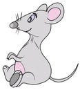 The grey mouse