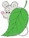 Grey mouse