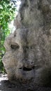 Grey natural rock at daytime that looks like a face with eye mouth and nose in Flores. Royalty Free Stock Photo