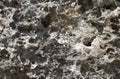 Grey natural stone texture photo background. Volcanic stone texture. Rocky seaside. Royalty Free Stock Photo